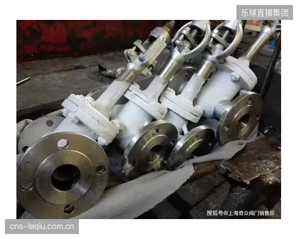 围绕专业队驻地，涌现出大量小作坊式的冰刀热处理服务商，其超深冷工艺缺乏严格的科学控制，不仅造成社会资源浪费，更带来器材安全隐患